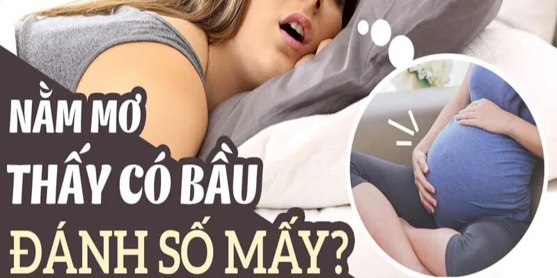 Khám phá cách đánh số theo giấc mơ thấy có bầu