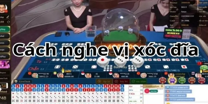 Lý do nên nghe vị khi chơi game xóc đĩa